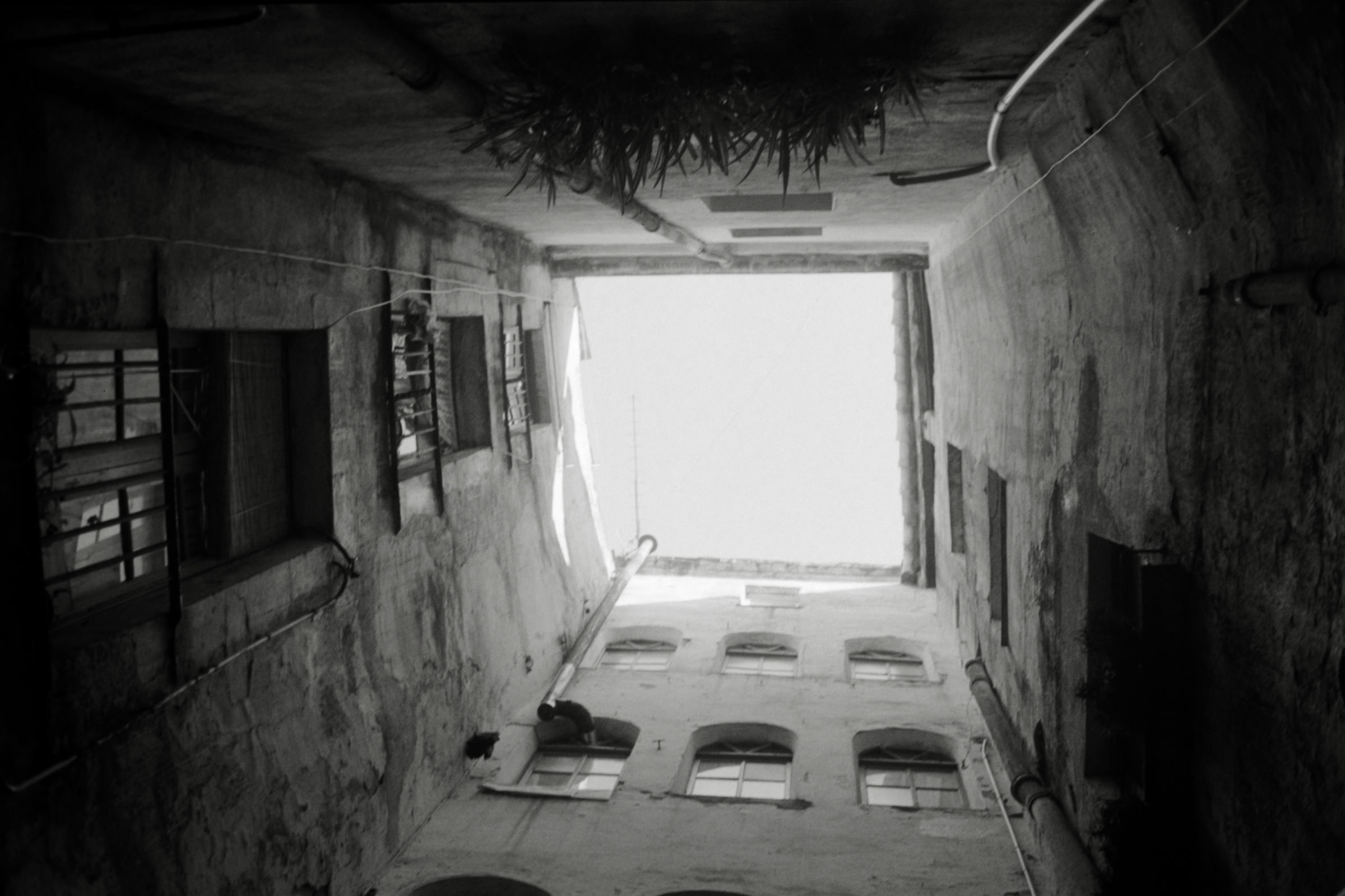 AHP F1996 02 001 sc240816 img14 NLP